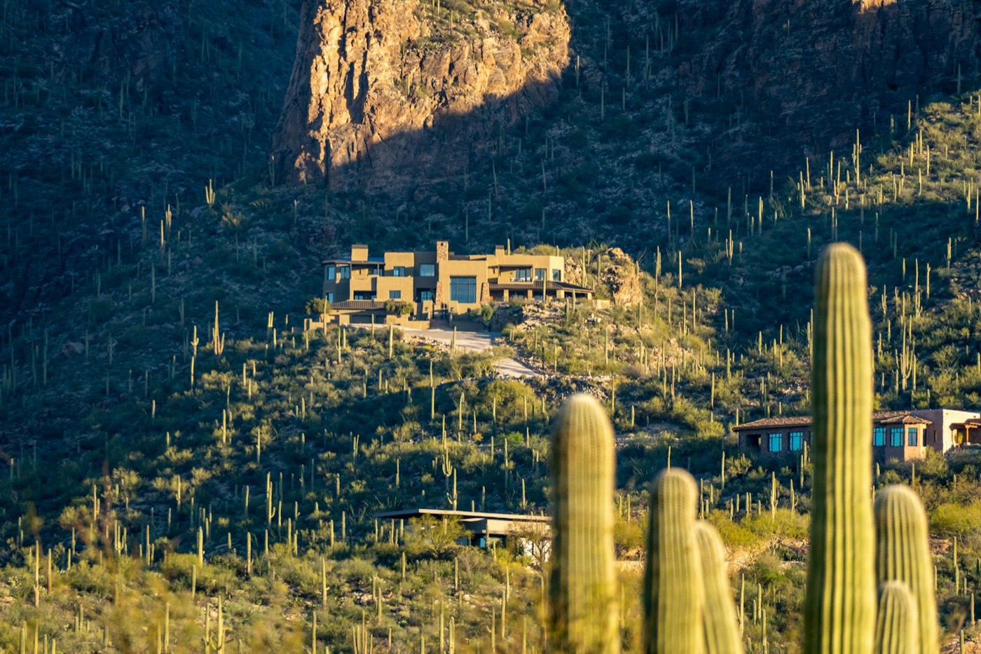 Home on a saguaro-covered hillside in the Tucson foothills